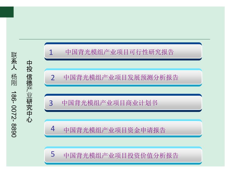 中国背光模组产业项目可行性研究报告_第2页