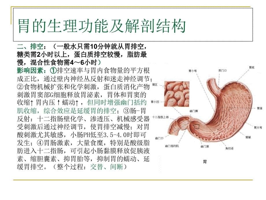 史上最全胃癌课件从基础到临床_第5页