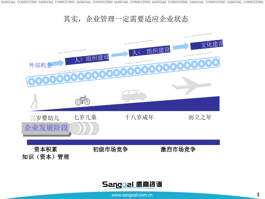 企业薪酬及长期激励体系建设_第3页