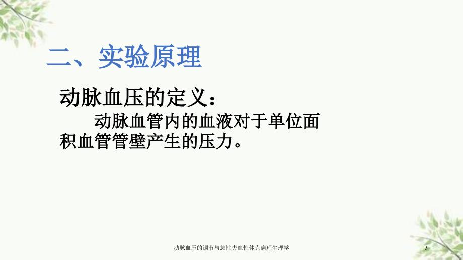 动脉血压的调节与急性失血性休克病理生理学课件_第3页