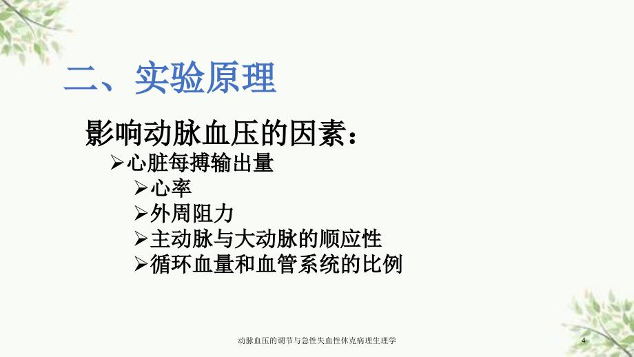 动脉血压的调节与急性失血性休克病理生理学课件_第4页