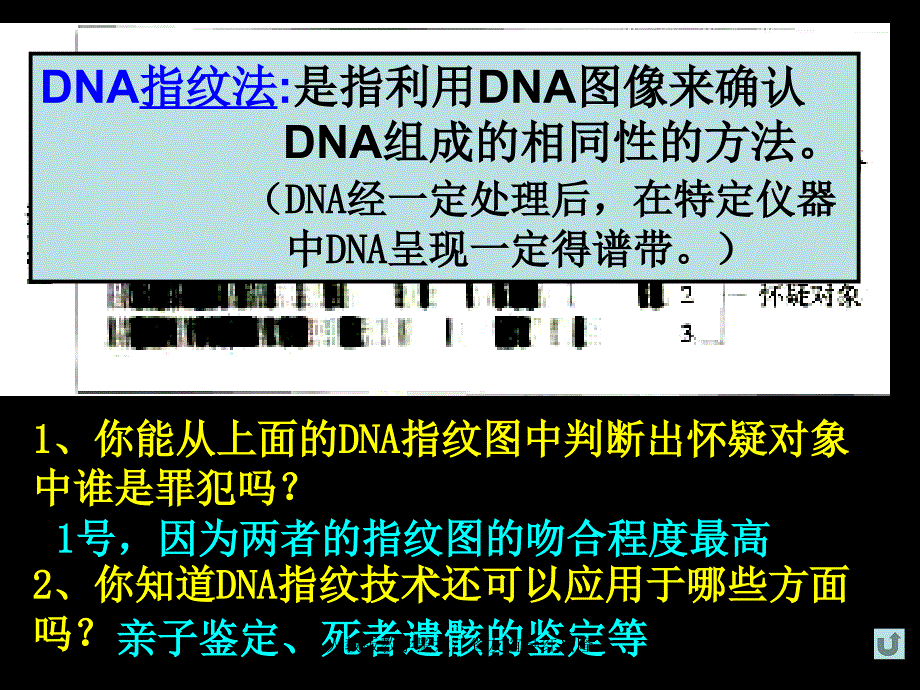 人教版教学黑龙江省友谊县红兴隆管理局第一高级中学高一生物23核酸课件_第2页