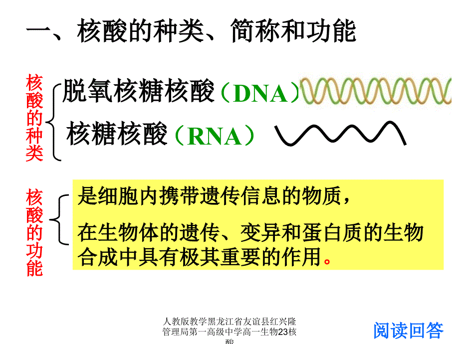 人教版教学黑龙江省友谊县红兴隆管理局第一高级中学高一生物23核酸课件_第3页