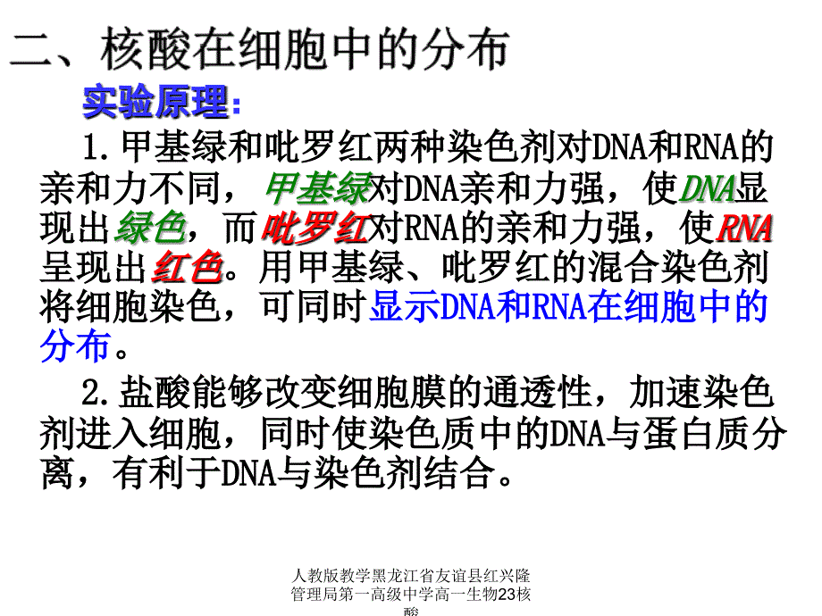 人教版教学黑龙江省友谊县红兴隆管理局第一高级中学高一生物23核酸课件_第4页