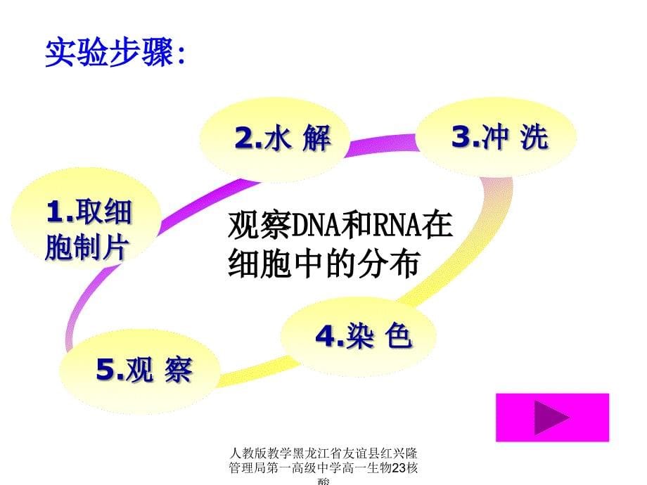 人教版教学黑龙江省友谊县红兴隆管理局第一高级中学高一生物23核酸课件_第5页