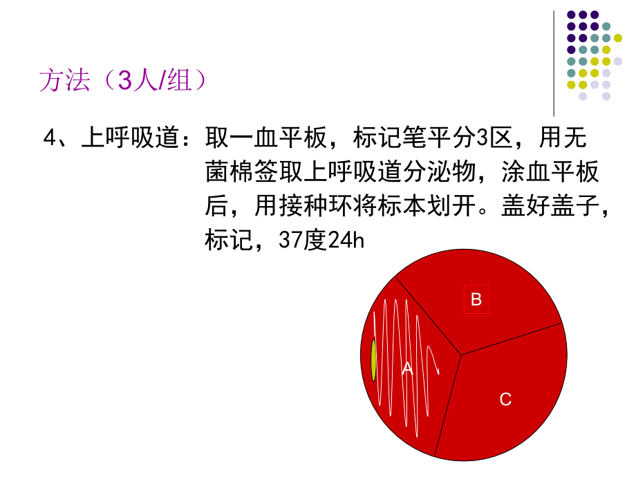 医学免疫学：细菌分布调查、药敏试验、考核_第4页