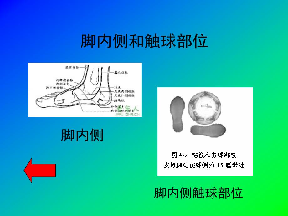 足球(脚内侧踢球与停球)_第4页