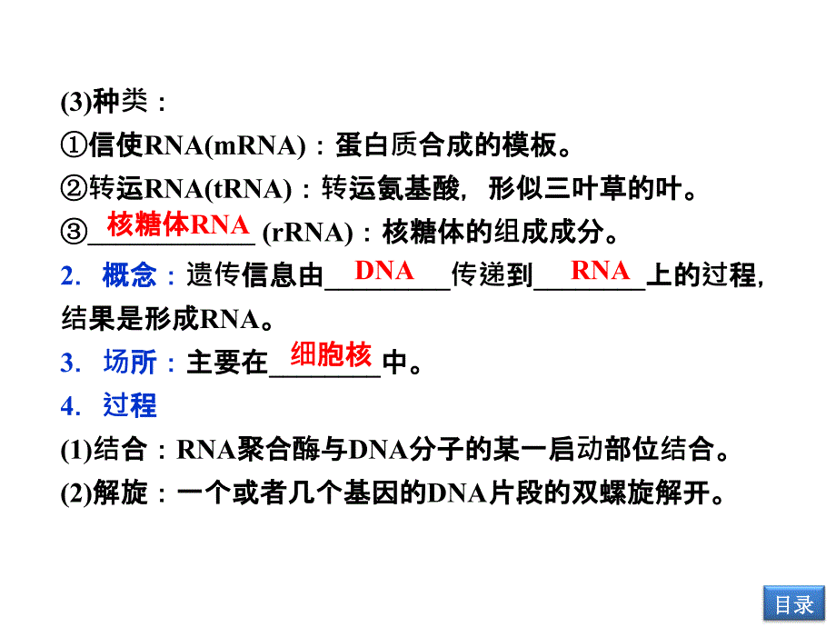 遗传信息的表达PPT课件_第4页