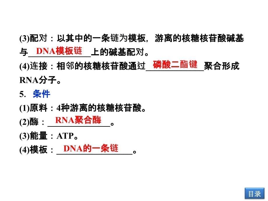 遗传信息的表达PPT课件_第5页