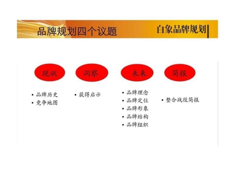 白象方便面品牌规划_第5页