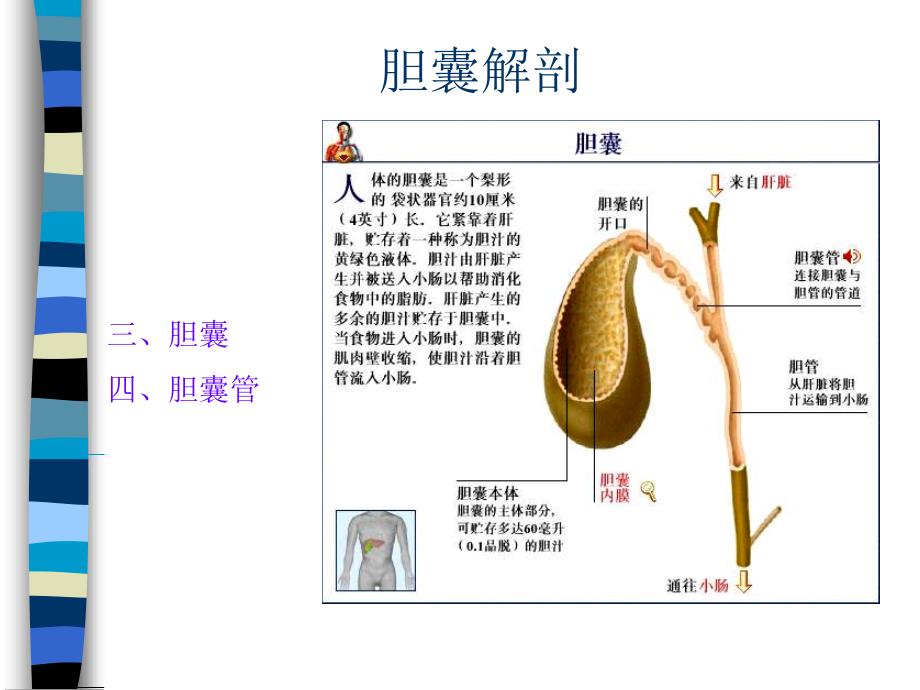 胆道疾病的护理_第4页