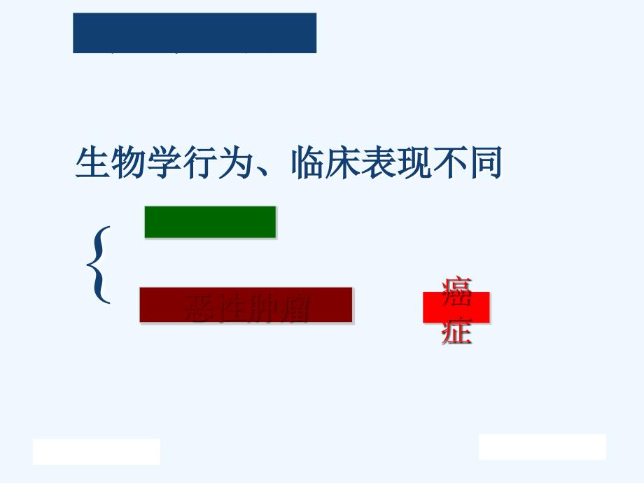 病理学肿瘤课件_第1页