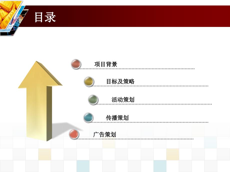 P金融模式的经典品牌推广案例_第2页