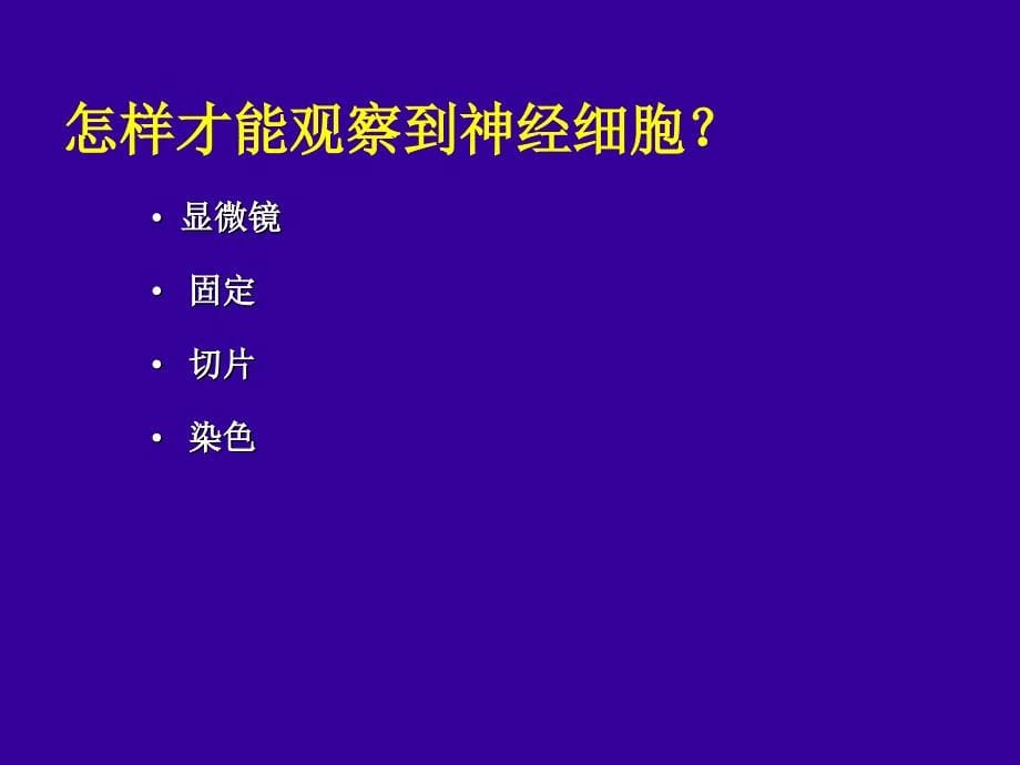 神经系统织学和细胞学_第5页