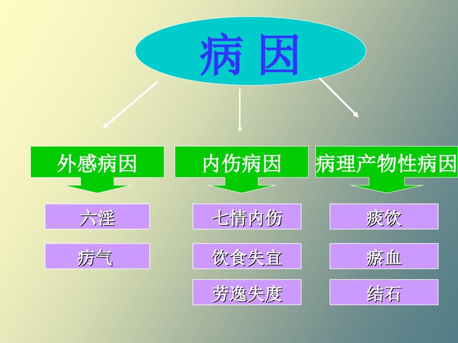 病因病机中医护理学_第3页