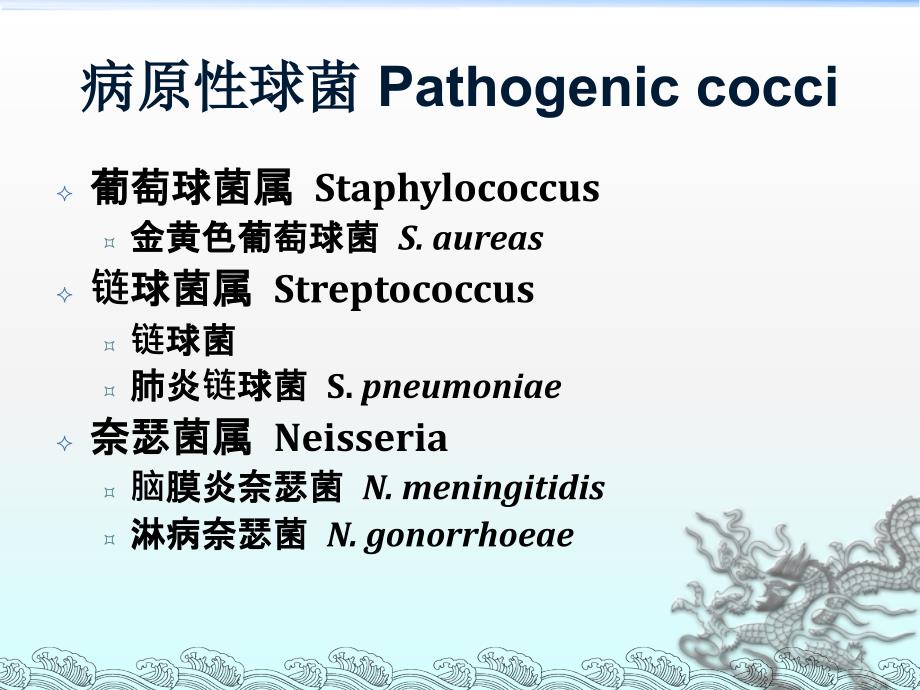 动物的解化脓性细菌ppt课件_第4页