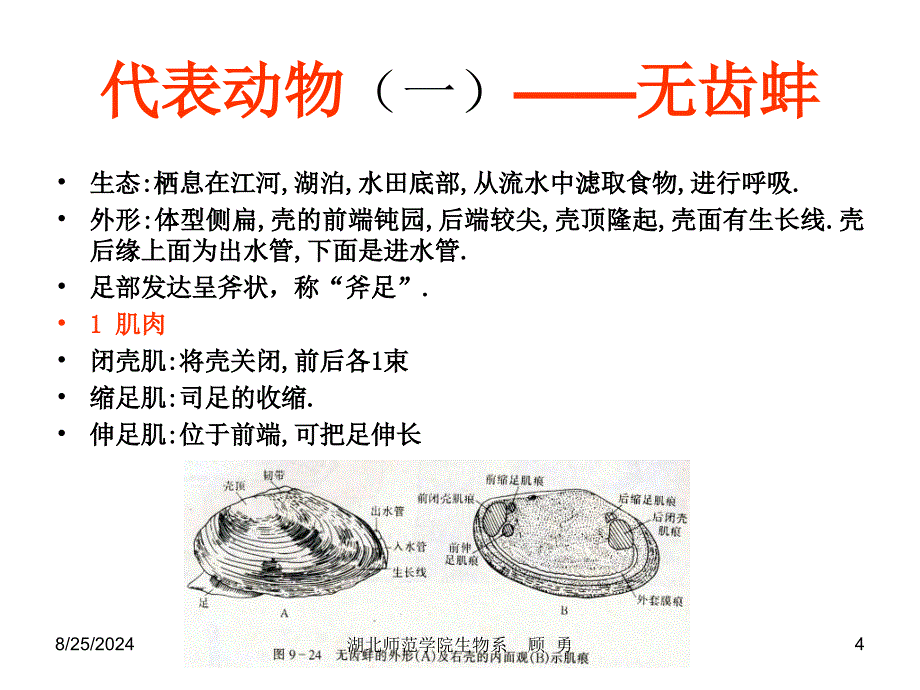 湖北师范学院生物系_第4页