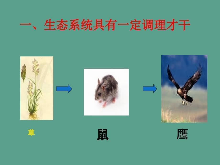 苏科版初中生物八上第六单元18.3生态系统的自我调节ppt课件_第5页