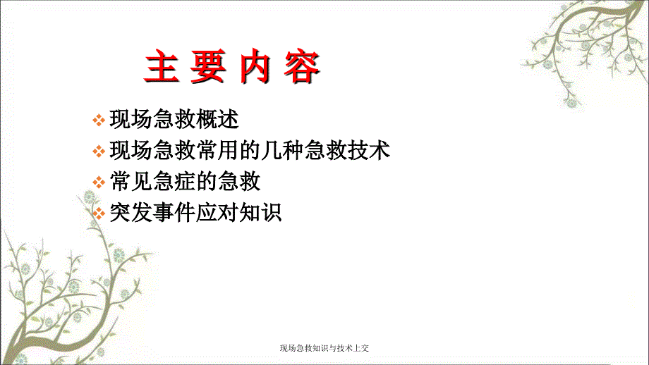 现场急救知识与技术上交_第2页