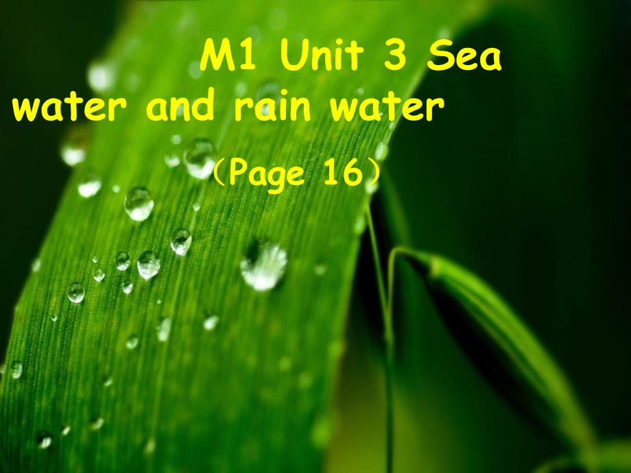 上海版牛津初中英语课件7B M1 Unit 3 Sea water and rain water_第1页