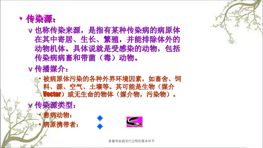 家畜传染病流行过程的基本环节课件_第2页