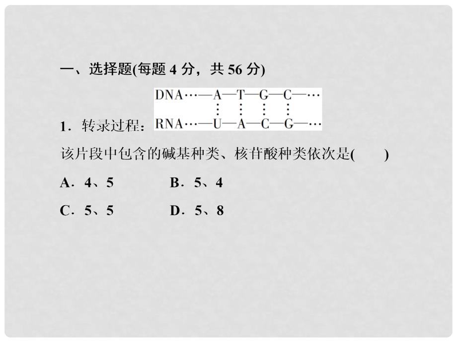 高中生物 40分钟课时作业 41 基因指导蛋白质的合成课件 新人教版必修2_第4页