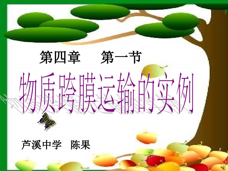 高中生物必修一物质跨膜运输的实例_第1页