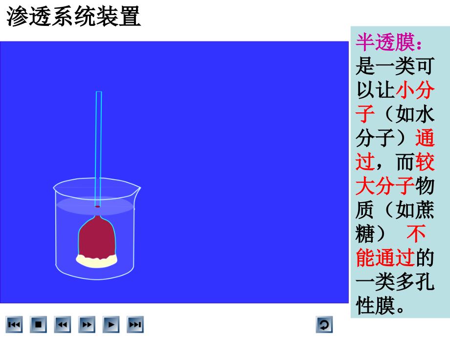 高中生物必修一物质跨膜运输的实例_第2页