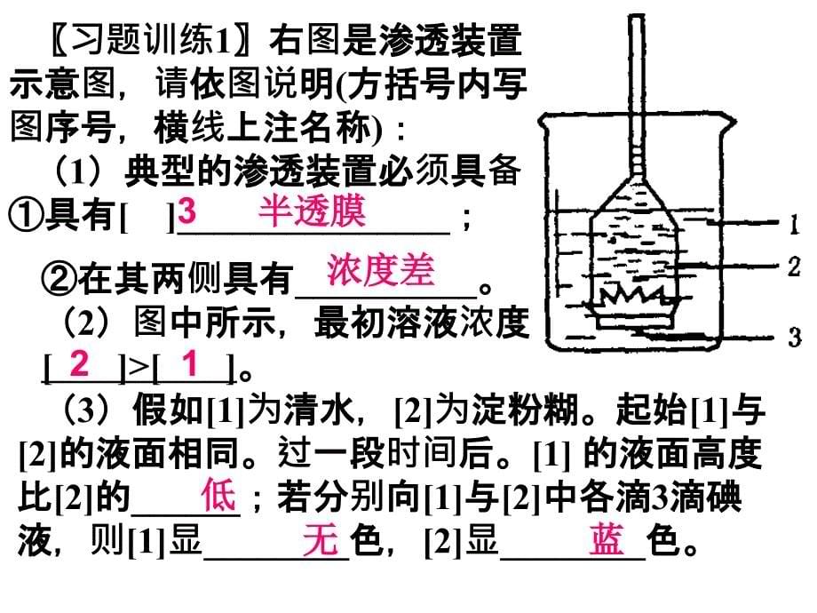 高中生物必修一物质跨膜运输的实例_第5页