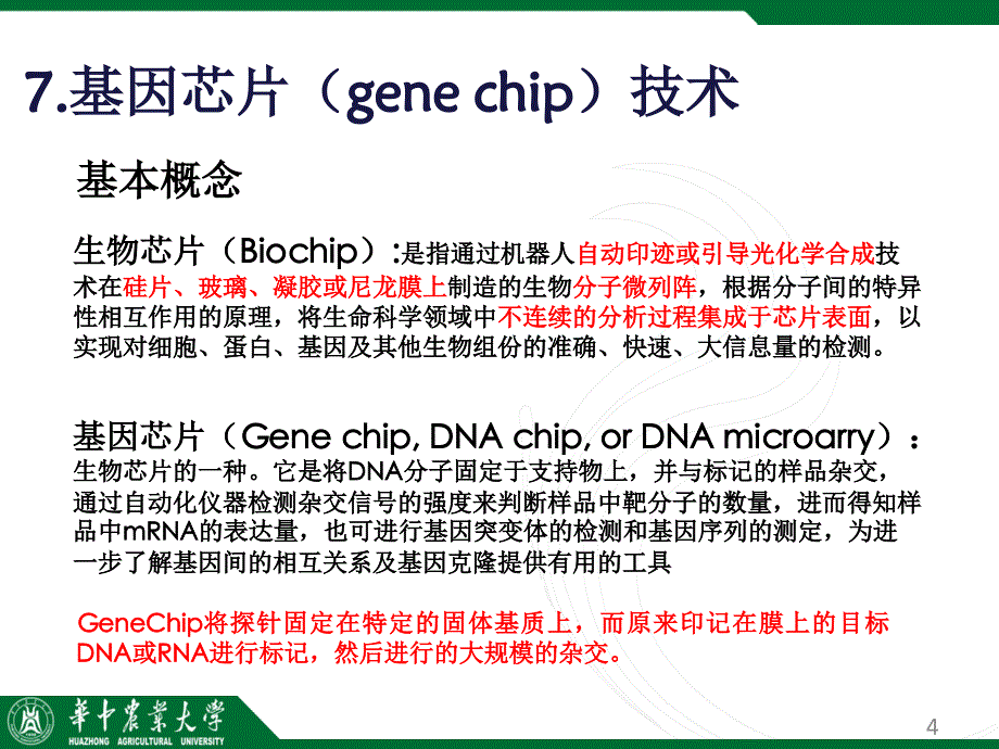 酵母双杂交技术PPT精品文档_第4页