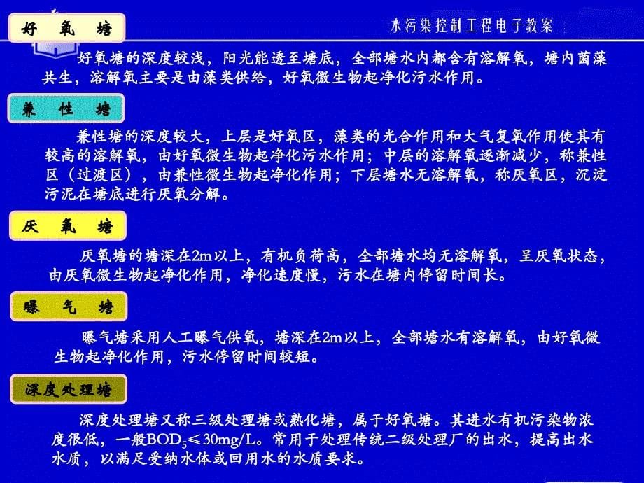 《稳定塘与湿地》PPT课件_第5页