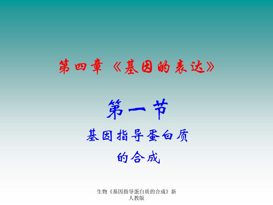 生物基因指导蛋白质的合成新人教版课件_第2页