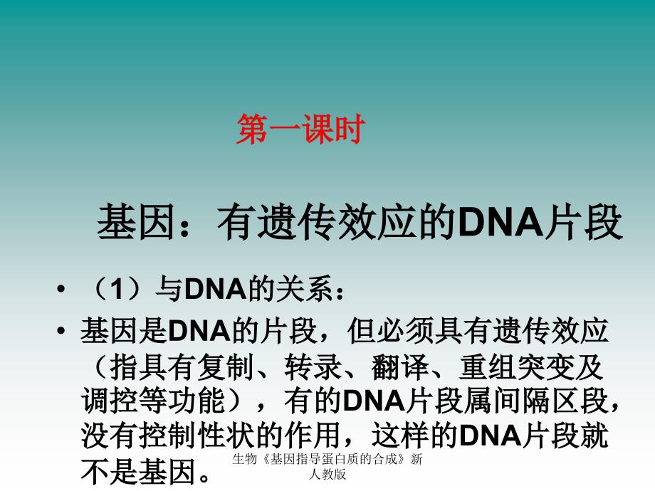 生物基因指导蛋白质的合成新人教版课件_第4页