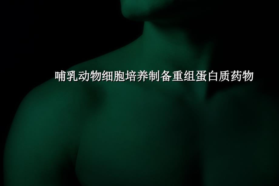 哺乳动物细胞表达重组蛋白.ppt_第1页