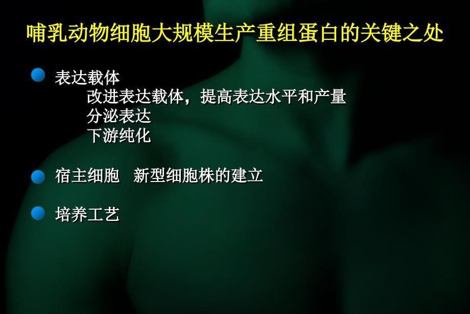 哺乳动物细胞表达重组蛋白.ppt_第5页