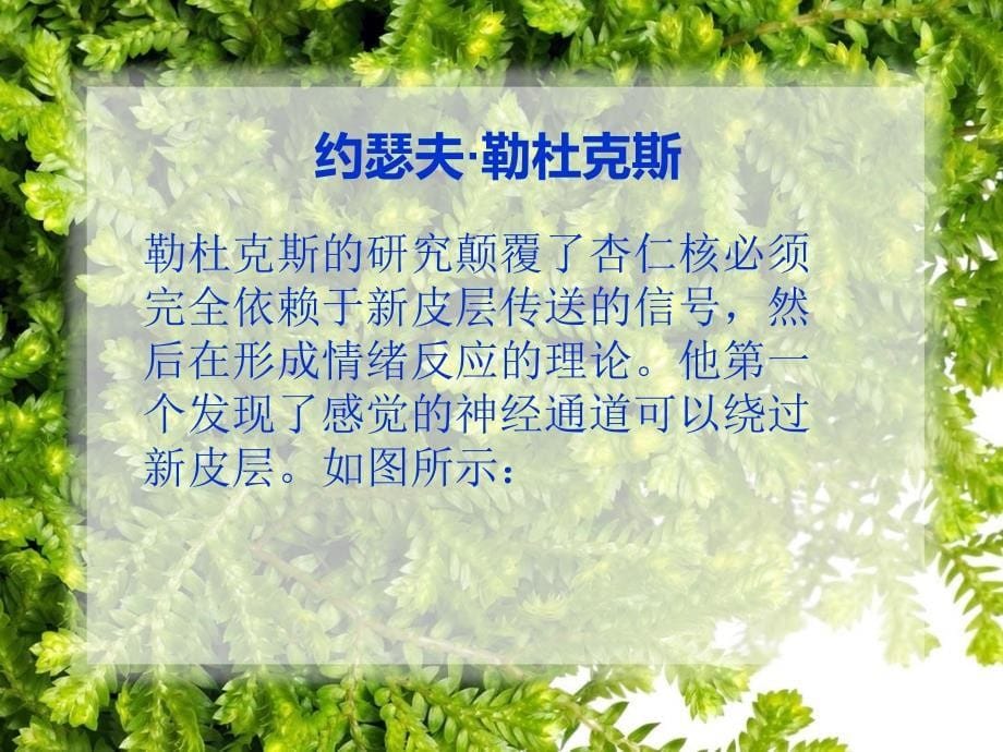 情商培训灌流范本_第5页