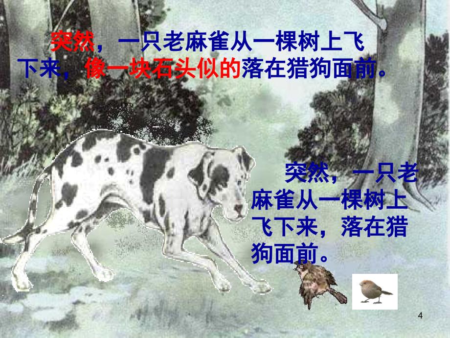 麻雀推荐课堂PPT_第4页