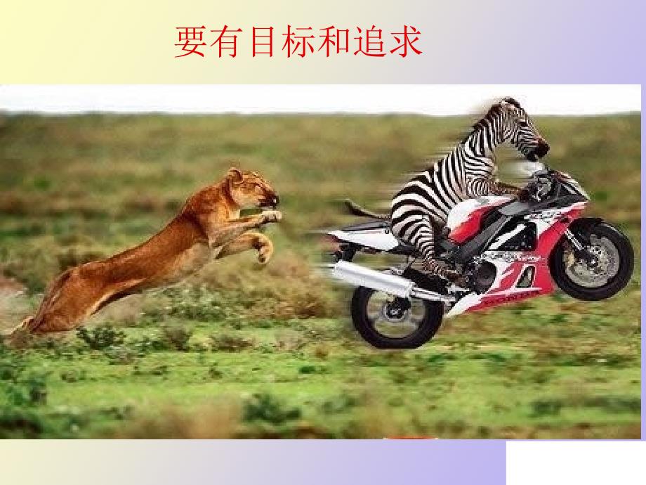 配送分拣与配货作业_第1页