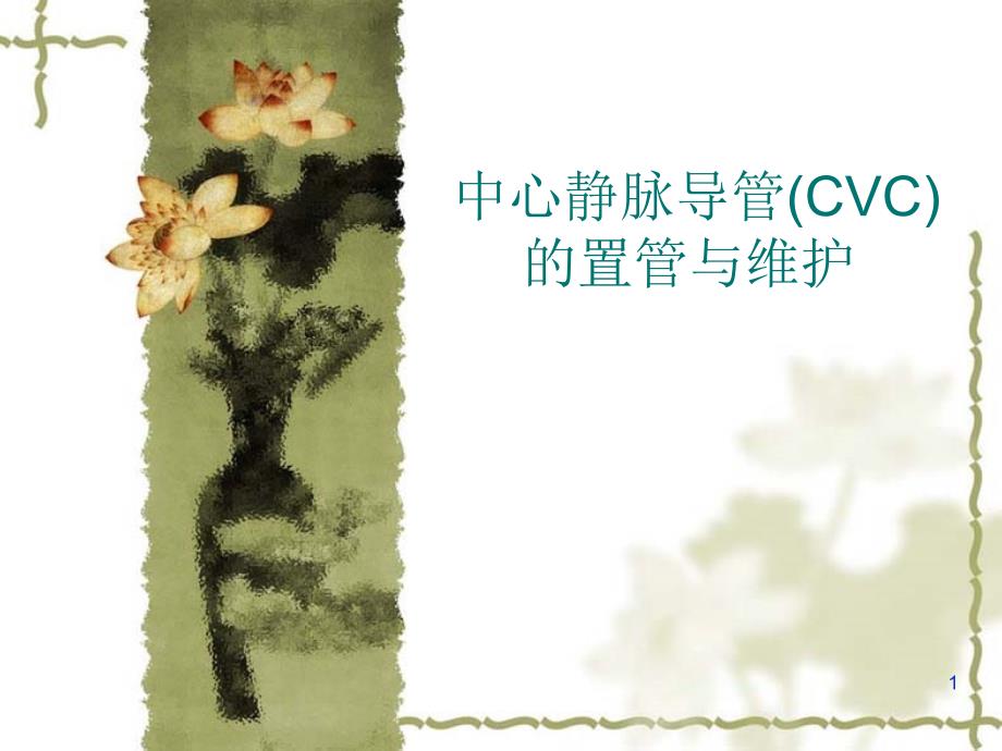 中心静脉导管CVC的置管与维护汇总课堂PPT_第1页