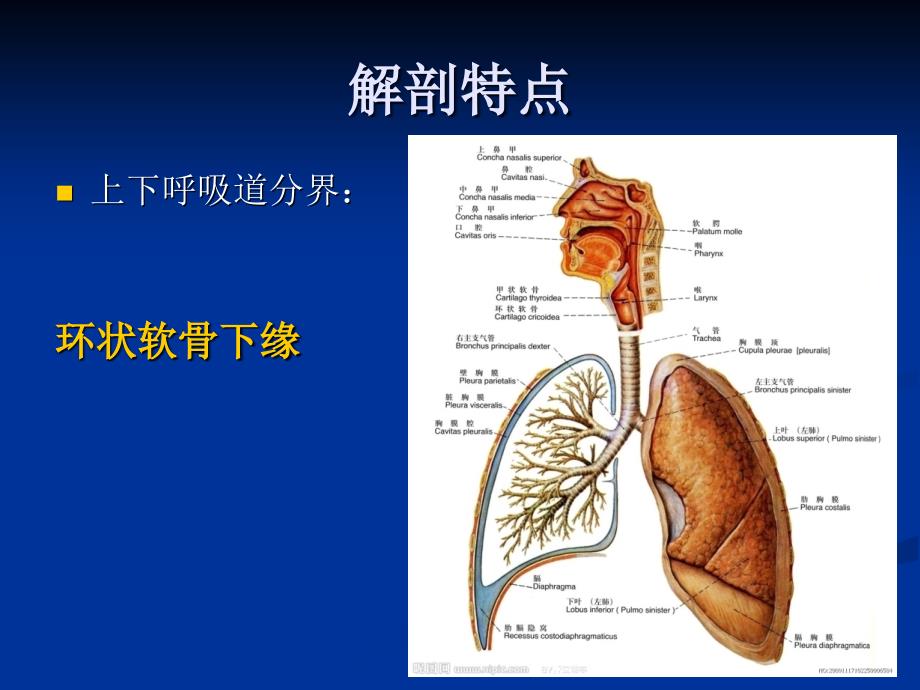 儿童呼吸系统疾病PPT课件_第4页