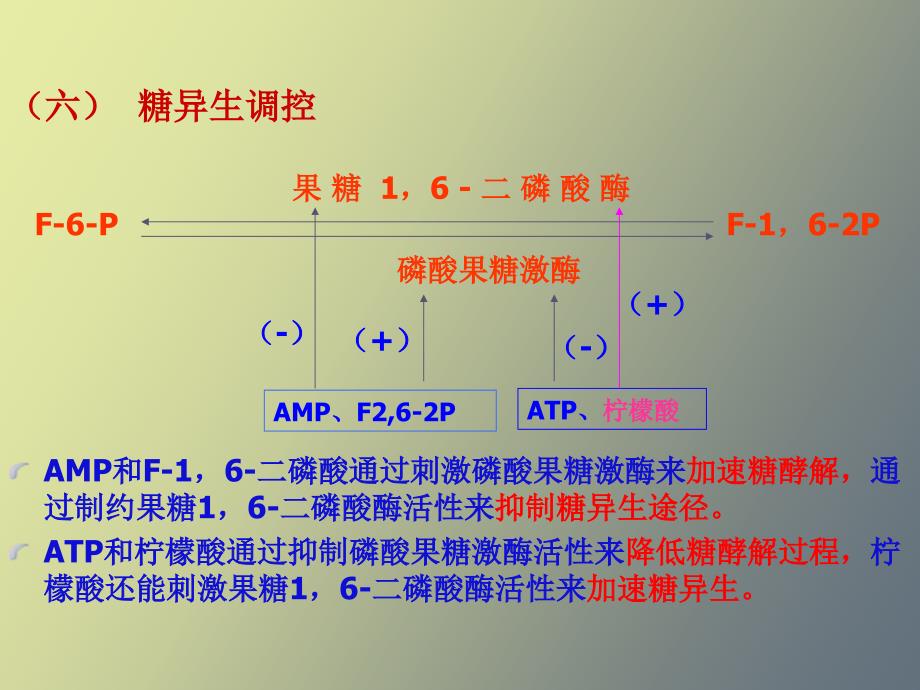 糖原异生和糖的其他代谢途径_第4页