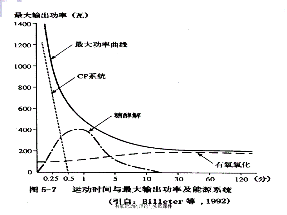 有氧运动的理论与实践课件_第3页