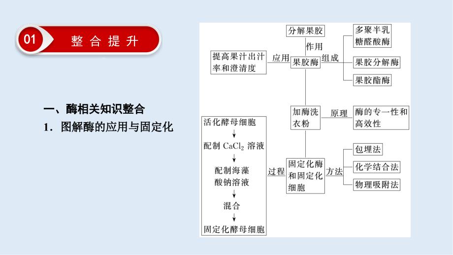 大二轮高考总复习生物课件：第01部分 专题08 生物技术实践 整合考点24 生物技术在其他方面的应用_第4页