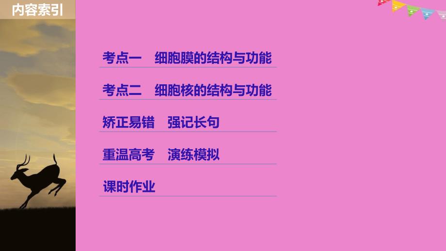 生物高考大一轮复习第二单元细胞的结构与细胞内外的物质交换第4讲细胞膜与细胞核课件北师大版名师制作优质学案新_第3页