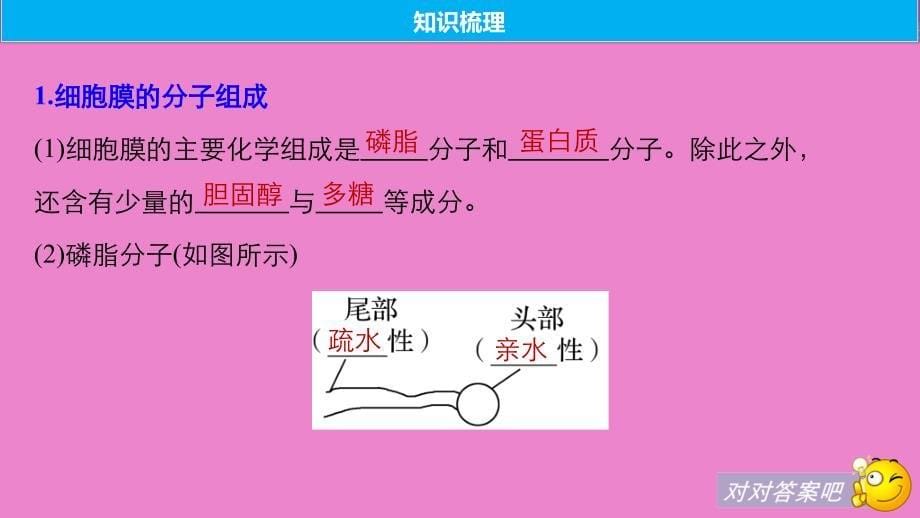 生物高考大一轮复习第二单元细胞的结构与细胞内外的物质交换第4讲细胞膜与细胞核课件北师大版名师制作优质学案新_第5页