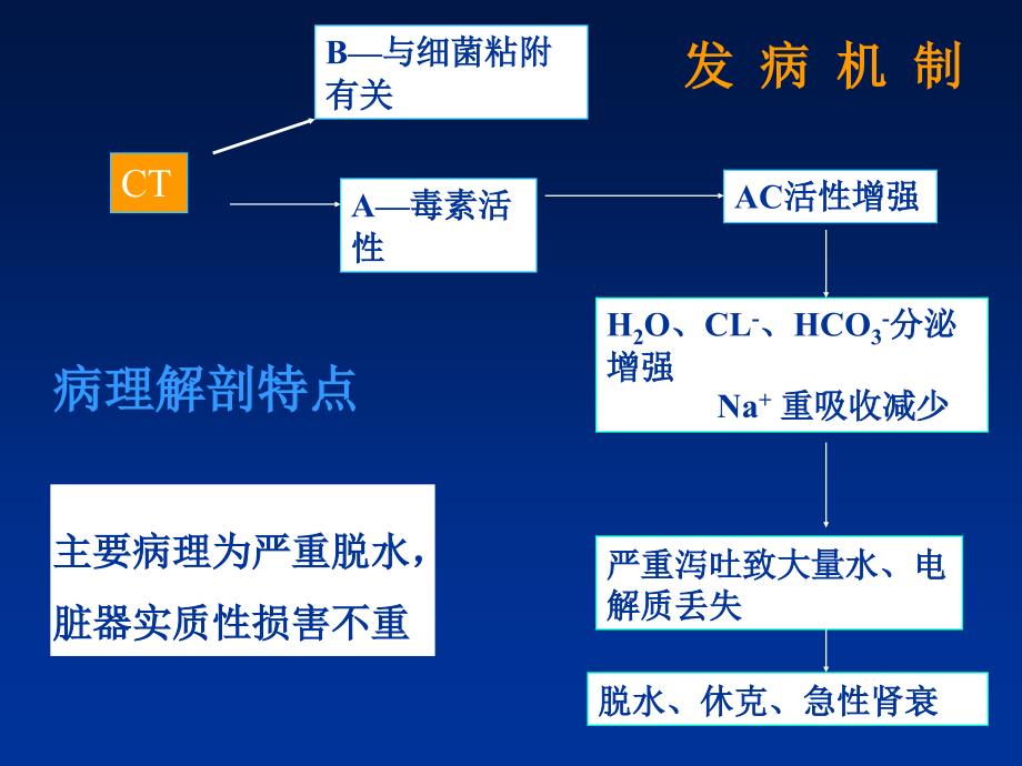 主办单位政教处PPT课件_第4页