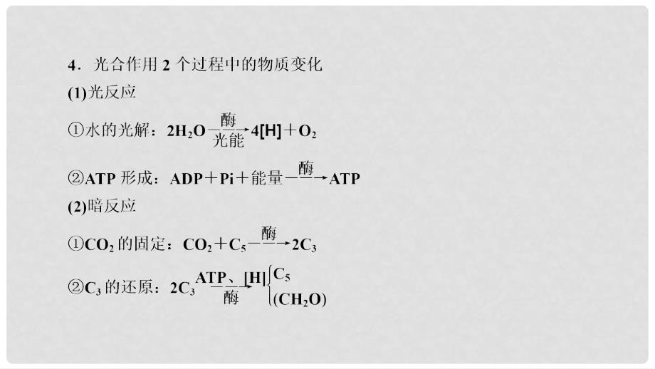 高考生物大一轮复习 第3单元 细胞的能量供应和利用 第3讲 能量之源——光与光合作用课件 新人教版必修1_第4页