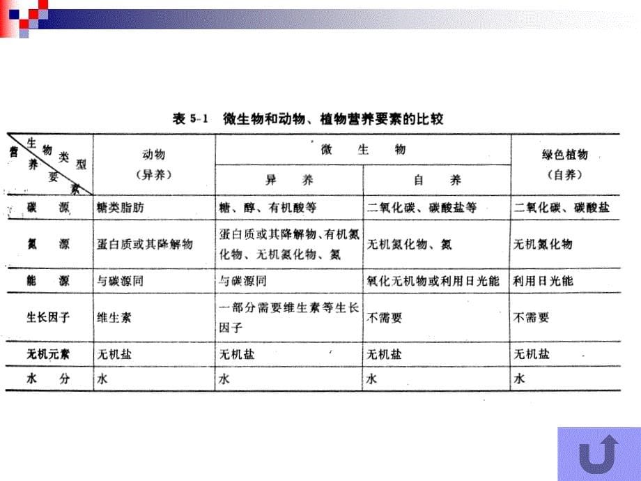 微生物的营养_第5页