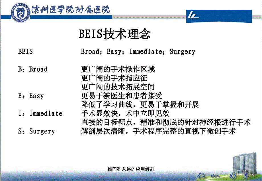 椎间孔入路的应用解剖_第2页