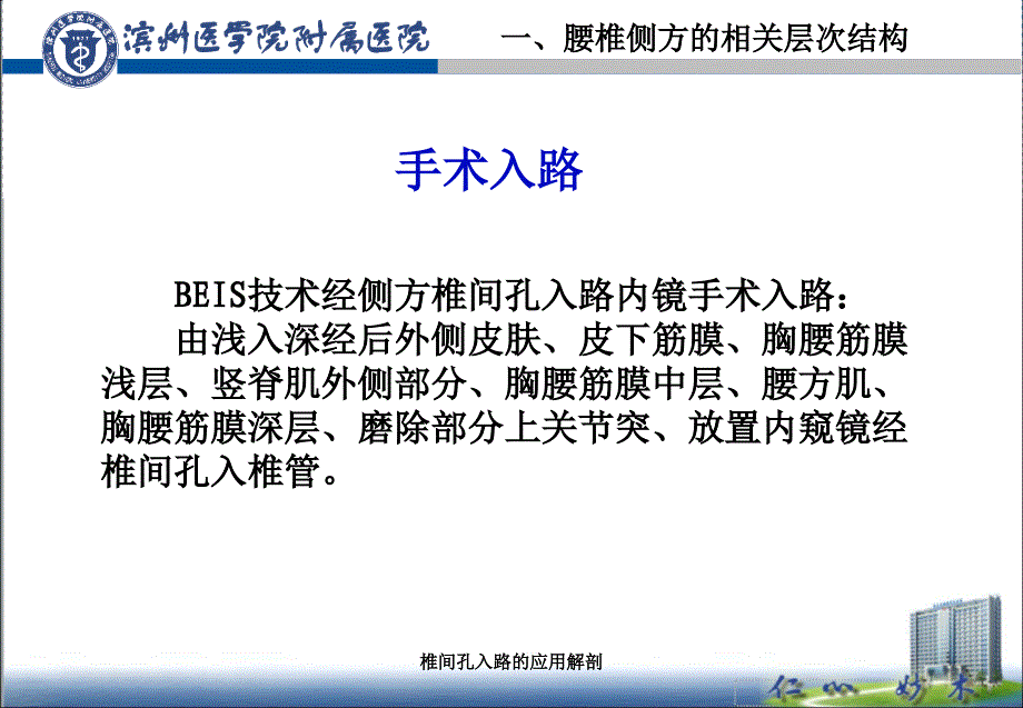 椎间孔入路的应用解剖_第4页